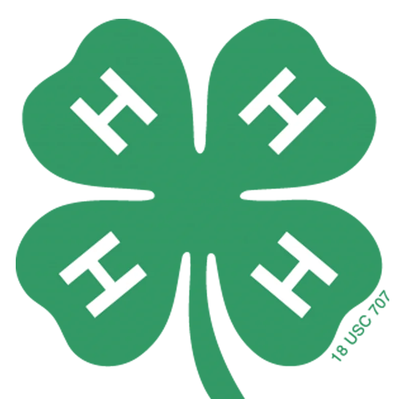 NC 4-H Volunteer